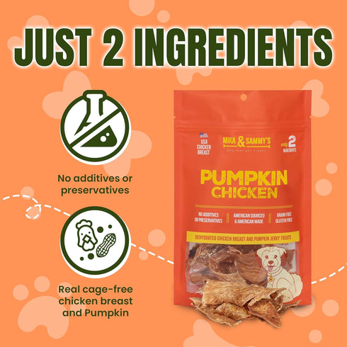 12 oz) Gourmet Jerky Dog Treats -Made in USA only, Cage-Free, No Additives (Pumpkin Chicken