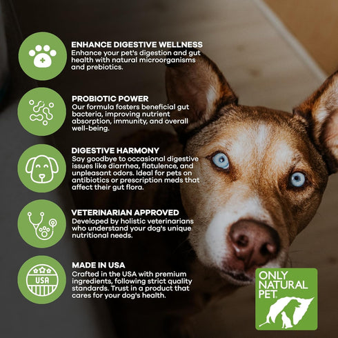Only Natural Pet Probiotic Dog and Cat Supplement, Digestive & Intestinal Tract Health, 90 Capsules
