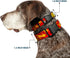 Buckle-Down Plastic Clip Collar - The Flash BOOM-KABOOM!, 1.5" Wide, Fits 18-32" Neck, Large