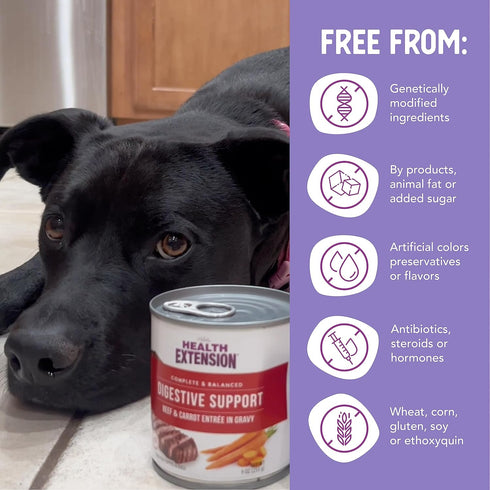 Gravy Dog Food by Health Extension, Beef & Carrot Entrée, 9 Ounce, 12 Cans, Digestive Support