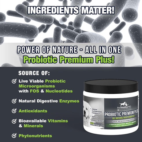 Probiotics for Dogs with Natural Digestive Enzymes, 60 Count, Soft Chews for Diarrhea, Upset Stomach, Allergies
