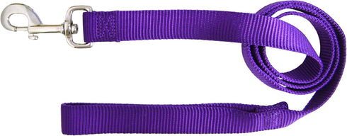Hamilton Single Thick Nylon Dog Lead, 1-Inch by 6-Feet, Purple