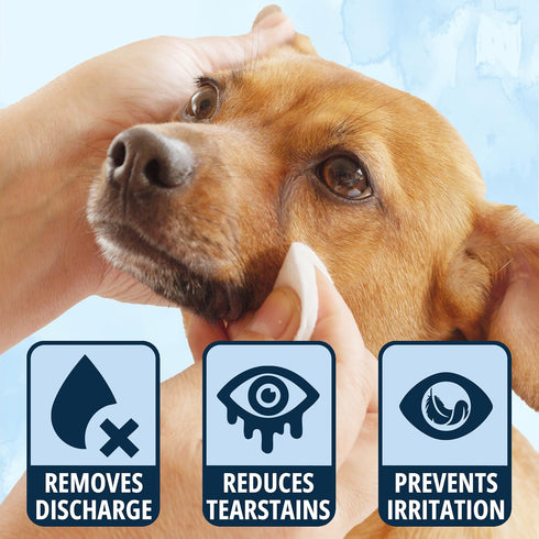 150PCs NOVEHA Dog Eye Wipes Tear Stain Remover for Discharge and Crust | White Dog Face Wipes | Easy Daily Pets Gentle