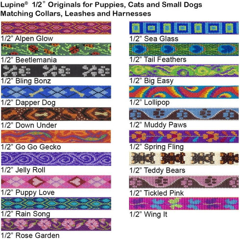 LupinePet Originals 1/2" Rain Song Padded Handle Leash for Small Pets, 4-foot
