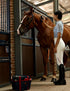 Furrishine 9 Set Horse Grooming Kit, Piece Grooming Brush with Silicone Curry Comb for Bathing & Shedding Shadowberry