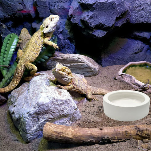 3 Pcs Ceramic Reptile Food Bowl, Triangular Water Feeder for Lizard, Anoles, Bearded Dragons, Hermit Crabs