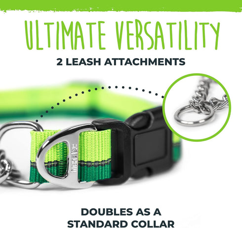 Mighty Paw Martingale Dog Collar 2.0, Trainer Approved Limited Slip Collar with Heavy Duty Buckle & Stainless Steel