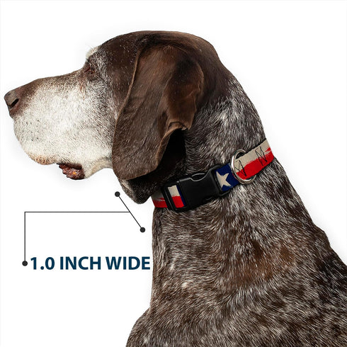 Buckle-Down Plastic Clip Collar - Texas Flag CLOSE-UP Distressed Painting - 1" Wide, Fits 15-24" Neck