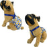 Female Dog Diaper with Suspenders, Cotton Reusable Washable for Small Breeds, Pack of 2 Colors, Medium