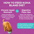 KOHA Limited Ingredient Bland Diet for Dogs, Beef and White Rice Recipe, Sensitive Stomach Wet Dog Food, Pack of 6