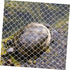 Mini Fish Tank Escape Net, Decorative Round Fish Tank Net for DIY Aquarium Sports Game Pouch