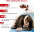 Gigwi Chirpy Cat Squeak Toy, Interactive Mouse Cat Toy with Melody Chaser for Kitten Play and Boredom Relief