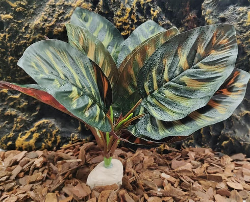 FLmoving Reptile Terrarium Decor Plants,Amphibian Habitat Decor,Artificial Plants for Tank Accessories (Calathea