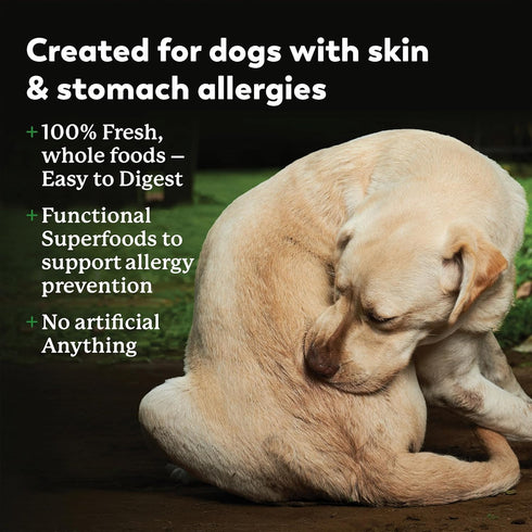 Dr. Harvey's Specialty Diet Allergy Salmon Recipe, Human Grade Dog Food for Dogs with Sensitivities, Trial Size (5.5 Oz)