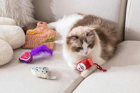 Interactive Cat Toy: Cutie Charcuterie Board Play Mat with Plush Toys