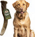 Heartland Deer Antlers for Dogs - Daily Dental Care Chews for Aggressive Chewers, Large, 1-Pack