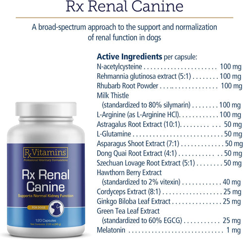 Rx Vitamins Rx Renal Canine Kidney Support for Dogs - Milk Thistle Extract, Green Tea, & Cordyceps Capsules, 120 ct