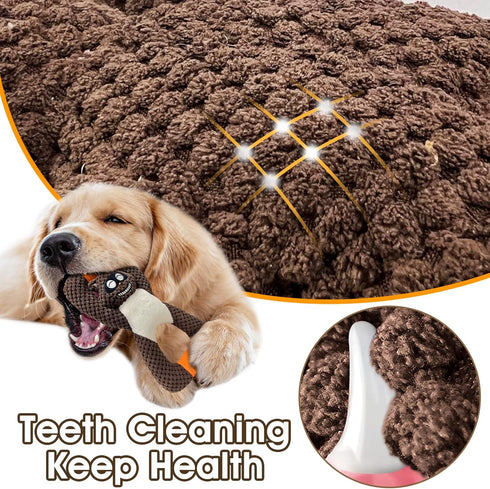 Tug of War Dog Toys, Squeaky Puppy Teething Chew Toys, Plush Durable Toys for Small Medium Large Breeds (Raccoon)