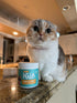 LOVE, NALA Skin and Coat Supplement for Cats, 90 Tasty Soft Chews with Omega 3 Fish Oil, Biotin, Vitamin E