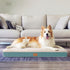 Orthopedic Dog Bed for Large Dogs - Waterproof Deluxe Plush Crate Bed with Removable Washable Cover & Anti-Slip Bottom,