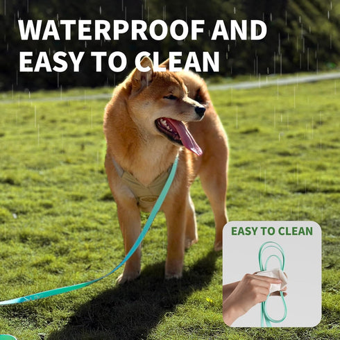 Dog Training Long Leash, Waterproof Heavy Duty Outdoor Recall Lead, 10ft 15ft 20ft 30ft 50ft, Mint Green (30FT)