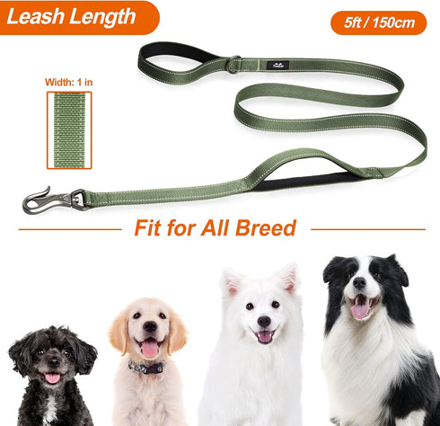 TwoEar 5FT 1IN Strong Green Dog Leash, 2 Padded Handles, Traffic Handle for Extra Control, Reflective Lead for All Dogs