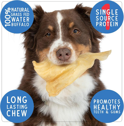 Pet Craft Supply Grass Fed Water Buffalo Ear 16 Count | Pack of 1, Long Lasting Dog Chew and Treat for Puppies