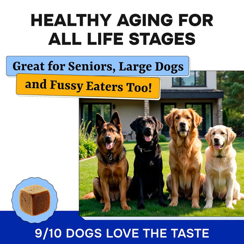 120 Dog Vitamins + Glucosamine - Chewable Multivitamins + Probiotics, Omega - Hip & Joint Support, Skin & Coat, Gut