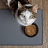 Yangbaga Non-Skid Premium Ceramic Cat Raised Food/Water Bowl with Stand, 4.8x6.4in, Black