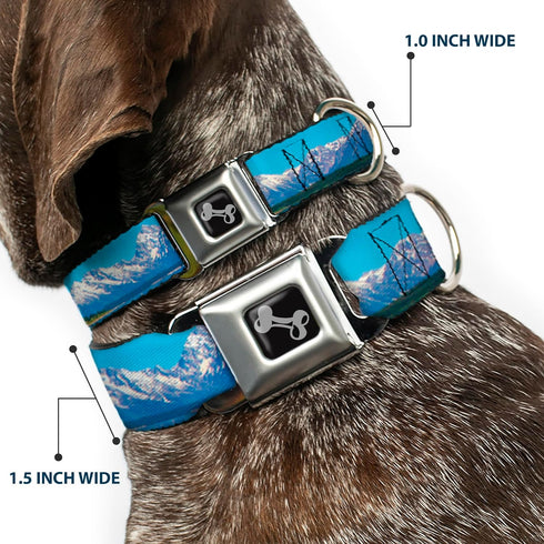 Dog Collar Seatbelt Buckle, 1.5" Wide, Fits 18-32" Neck, Large