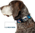 Buckle-Down Seatbelt Buckle Dog Collar, Stitch Snacking Poses, Black/Blue, 1" Wide, Fits 15-26" Neck
