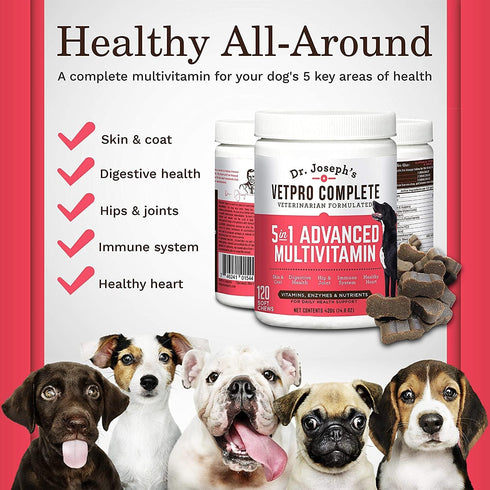 VetPro Dog Vitamins and Supplement Soft Chews with Probiotics, 120 Count, 5 in 1 Chewable Multivitamin
