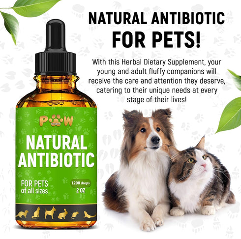 Dog Antibiotics for Infection, Coughs, UTIs, Allergies, Natural Antibiotics for Cats, 2 oz