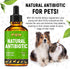 Dog Antibiotics for Infection, Coughs, UTIs, Allergies, Natural Antibiotics for Cats, 2 oz