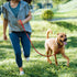 TwoEar 1/2" x 6FT Dog Slip Rope Leash, Heavy Duty Training Leash with Highly Reflective Threads for All Dogs