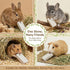 RAINFLOW 12PCS Chinchilla, Hanging Rabbit Lava Blocks Mineral Calcium Grinding Stone for Bunny Hamster Teeth Grinding