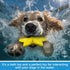 Teyva Daily 6 Pack Set, Summer Floating TPR Squeaky Dog Toys for Pool Beach, Small Medium Dogs Water Fetch Swim Chew