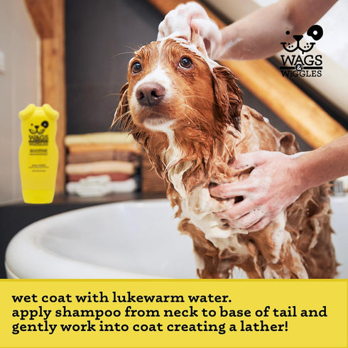 Wags & Wiggles 16 Oz Soothe Oatmeal Dog Shampoo - Warm Vanilla Scent, pH-Balanced Colloidal Oatmeal Formula for Dogs