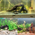 Tfwadmx Natural Driftwood Aquarium Decor - Wood Branches 7-9.5" Fish Tank Decoration, 3 Pcs