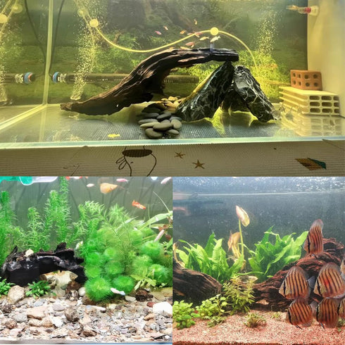 Tfwadmx Aquarium Driftwood Decorations, Natural Wood Branches 6-10" Fish Tank Decor (4 Pcs)