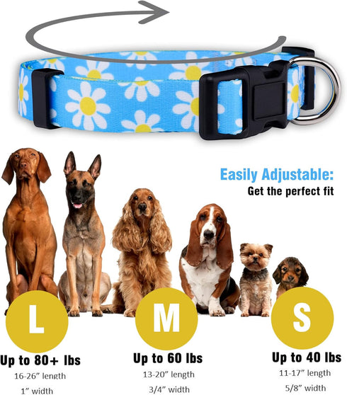 Native Pup Flower Dog Collar, Adjustable Small Medium Large, Cute Designer Puppy Accessories, Pink Floral Blue Daisy
