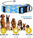 Native Pup Flower Dog Collar, Adjustable Small Medium Large, Cute Designer Puppy Accessories, Pink Floral Blue Daisy