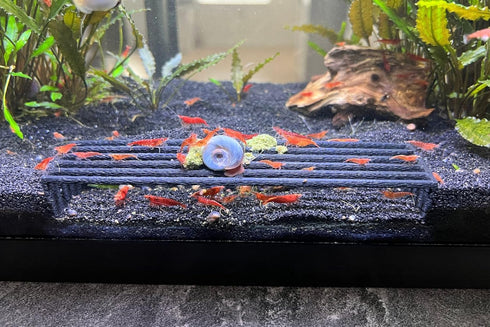 LifeWithPets Aquarium Shrimp Hide, Breeding Shrimp Hide Tunnel & Cave Black (Black,