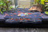 LifeWithPets Aquarium Shrimp Hide, Breeding Shrimp Hide Tunnel & Cave Black (Black,
