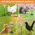 moyardow Entertained(2 Pack) Peck Toy, Interactive Slow Feed Release Toy for Your Flock, Chicken Slow Feeder Boredom