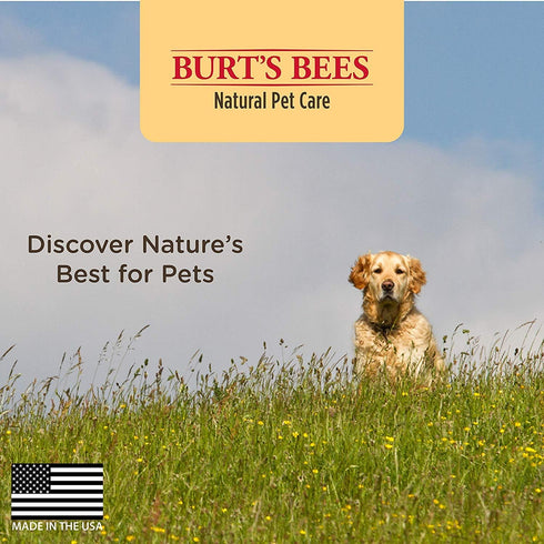 Burt's Bees for Pets Deodorizing Dog Shampoo with Apple & Rosemary - Naturally Derived, 16 Oz, Made in USA