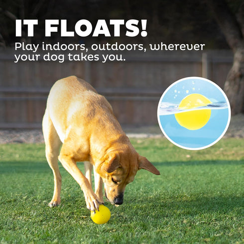Outward Hound Orbee-Tuff Squeak Ball, Yellow Dog Fetch Toy