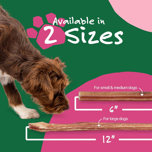 Willow&I Bully Sticks for Dogs - 12 Inch for Large Dogs (5 Pack), 100% Natural Grass Fed Beef Pizzle Sticks