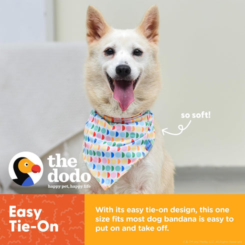 The Dodo Dog Bandana & Colorblock Tee Pet Apparel Set, Extra Small Size; Grey, Green & White Dog Tshirt, Matching Pet