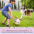 Rabbit Dog Toys Soccer Ball with Straps - Interactive Dog Balls for Medium Small Dogs